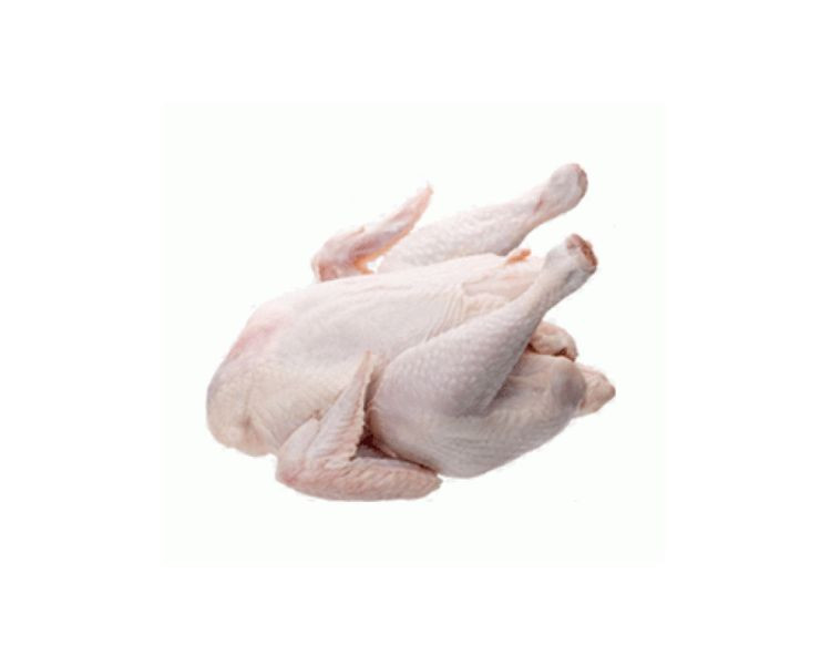 Broiler Chicken (500 gm) (packet)